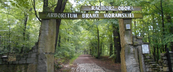 Arboretum Bramy Morawskiej w Raciborzu